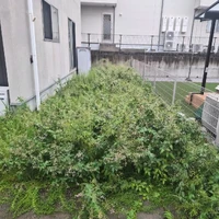 画像294