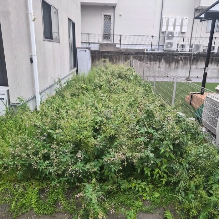 画像294